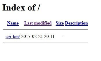 Когда я захожу на свой сайт, я вижу Index Of Что это значит и как это решить e1690470942449